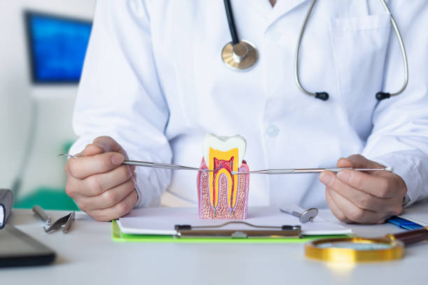 Best After-Hours Dental Trauma Care in Royalton, MN